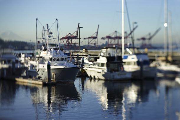 Pros convicted for undersized fish